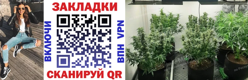 Где купить наркотики Ивантеевка A PVP  Псилоцибиновые грибы  ГАШИШ  КЕТАМИН  COCAIN  Канабис 