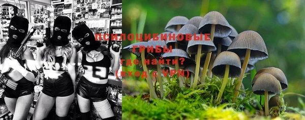 ПСИЛОЦИБИНОВЫЕ ГРИБЫ Нягань