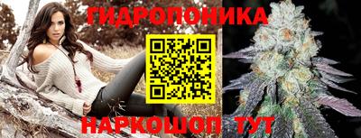 трава Будённовск