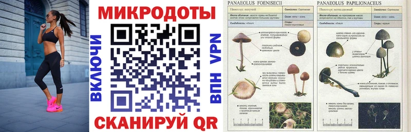 Псилоцибиновые грибы MAGIC MUSHROOMS  Ивантеевка 