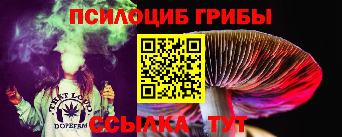 Ивантеевка  Галлюциногенные грибы Psilocybine cubensis  Вход с VPN  Галлюциногенные грибы Magic Shrooms 